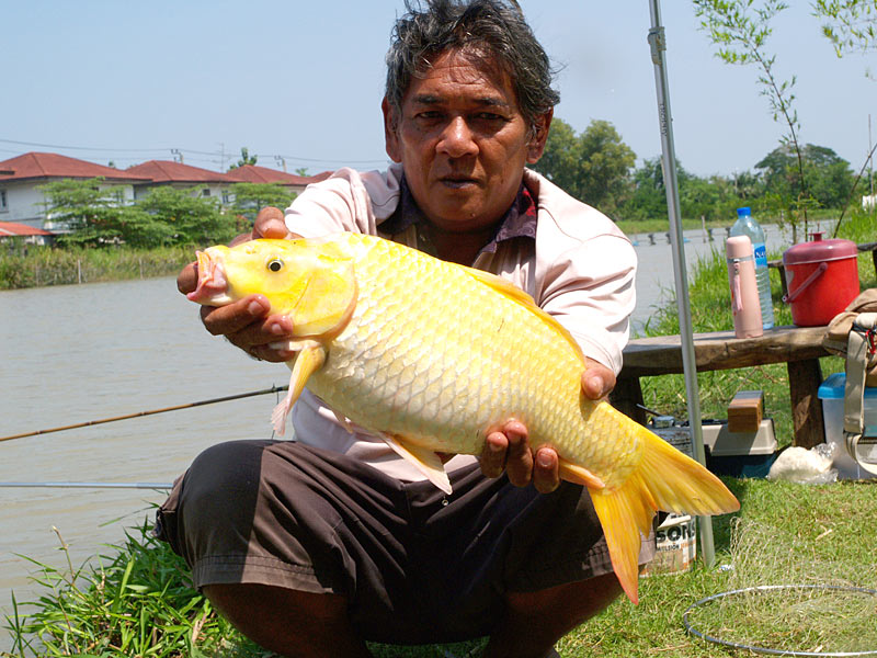 ชักภาพกันหน่อยนะ น้องปุ้มปุ้ย :smile: