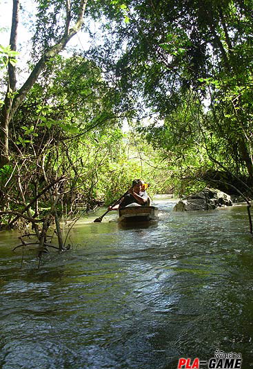 เสียงเรือดังลั่นไปทั้งราวป่า เครื่องยนต์ฮออนด้าดังสะท้านขุนเขา.......ปัง ....ปัง .....ปัง 

เสียงท