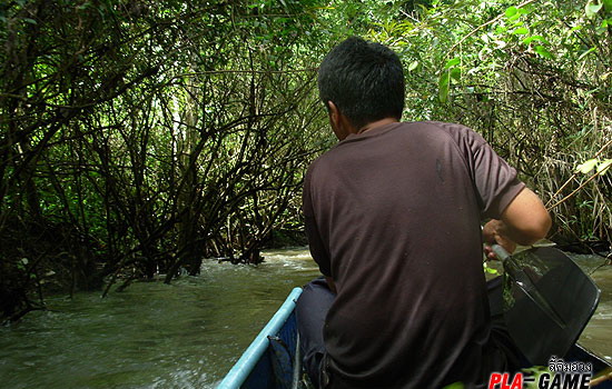 เรือไม้โกโรโกโสของผมกำลังเร่งเครื่องเต็มเหยียดหวังจะทวนน้ำเลี้ยวโค้งหักศอกให้พ้นตอตะเคียนจมน้ำตอนี้ใ