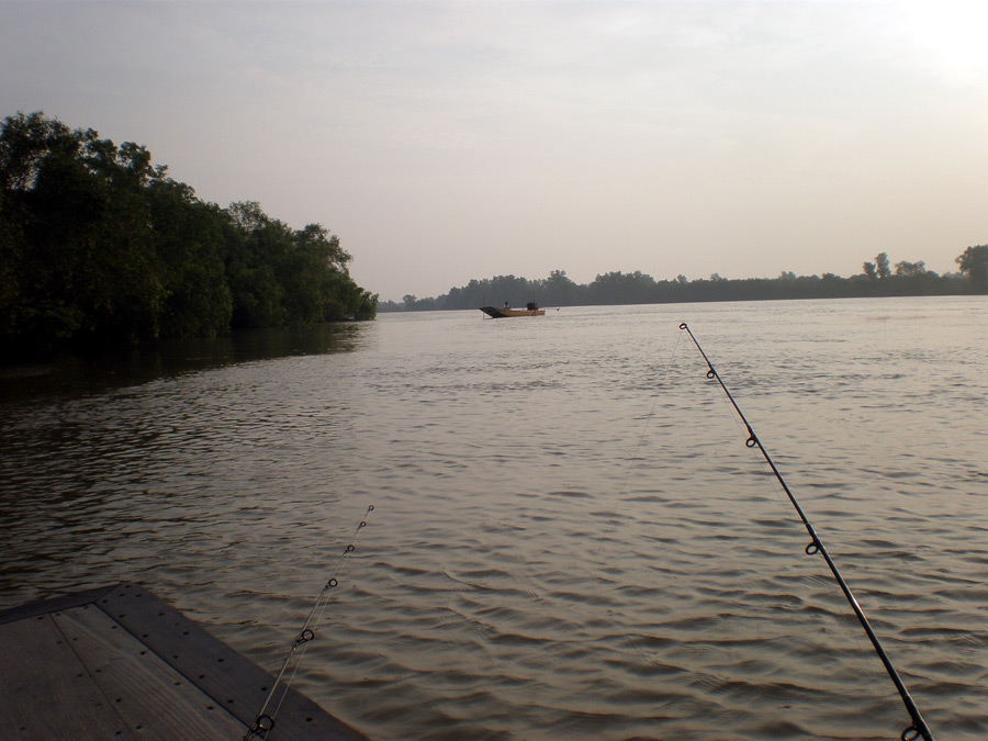 ข้างๆกันมีเรือจอดตกปลาอยู่อีกลำ เห็นไต๋ตะโกนทักทายกัน ได้หรือยัง ชม.เดียว 5 ตัวแล้วทางโน้นตอบมา จอดต