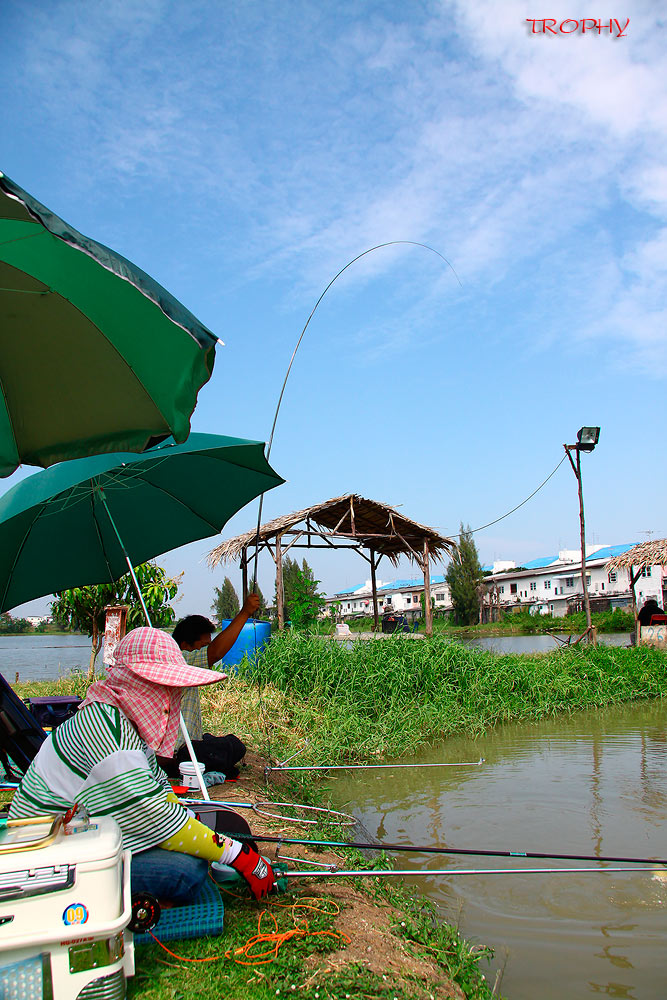 น้าแป๊ะได้วัดบ้างครับ นึกว่าจะนั่งชมอย่างเดียวเหมือนผมซะแล้ว  :smile: