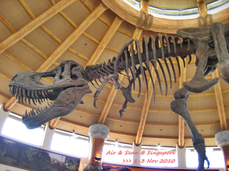 


 [b]ภายใน Food Court เหมือนมาอยู่ในฐานปฏิบัติการของ Jurassic Park[/b]