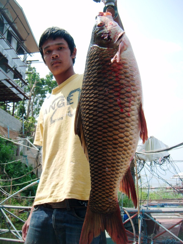 จัดให้น้องเค้าอีกใบครับ ลืมถามว่าชื่ออะไร มาจากทีมไหน ขออภัยด้วยนะครับ  :love: :love: :love: :love: 