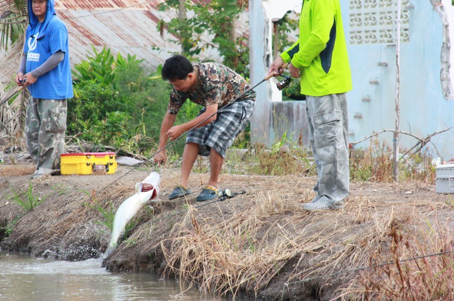 ขึ้นมาแล้ว ช่วงแรกคีบเองคนปลดยังไม่มา :laughing: :laughing: