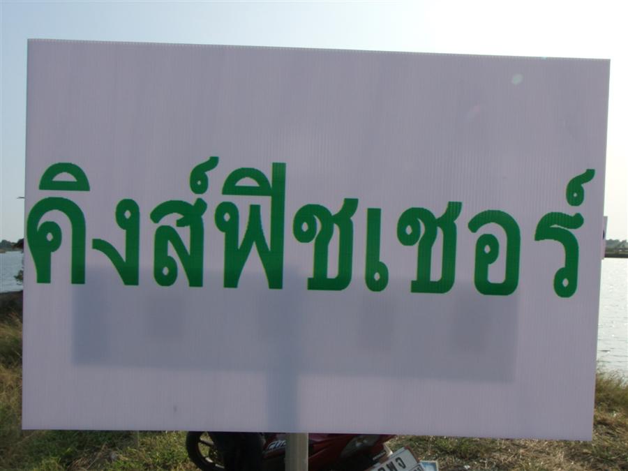 [b]สวัสดีตอนเช้ามืดครับ เข้ามาเพื่อจะมาขอบคุณสปอนเซอร์ใจดีทุกๆท่านครับ
ถ้าไม่มี พวกเค้าเหล่านี้ งาน