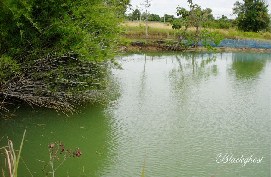 



น่าสไลด์หนอน จัง         เสียดายไม่ได้เอา เหยื่อมาเลย   :cheer: :cheer: :cheer: