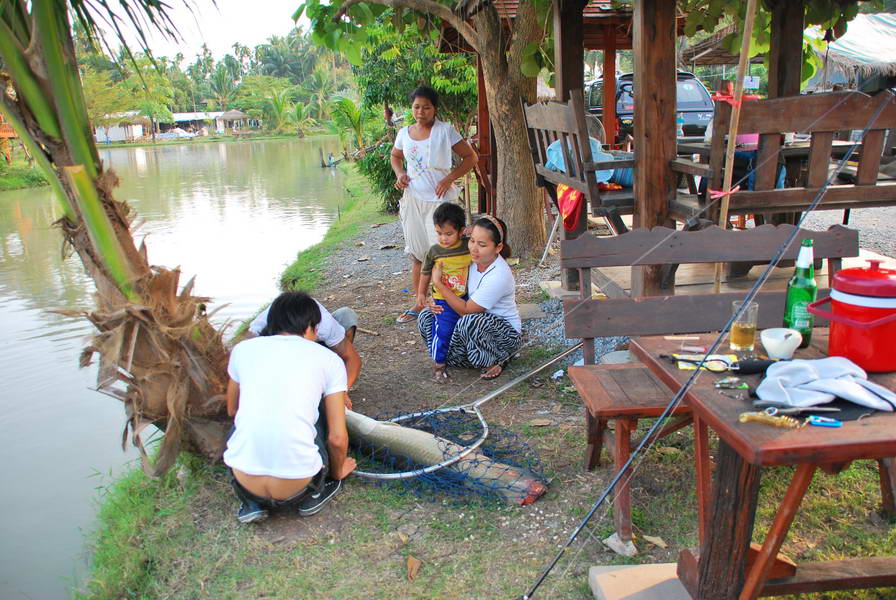 [b]ตูดดดดดด....โผล่ครับ....ทันตแพทย์ถอนไ