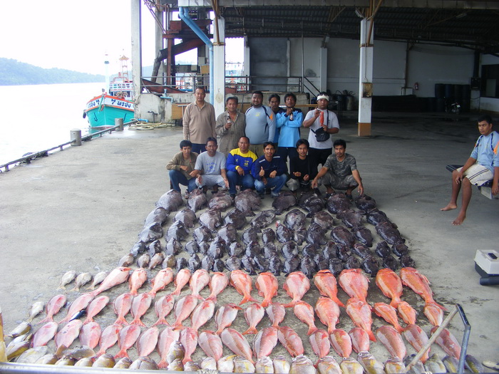 ไต๋ลือพาทีมบางกุ้งลุยดงเก๋าถ่านยักษ์ล้นลังอีกแล้วครับท่าน