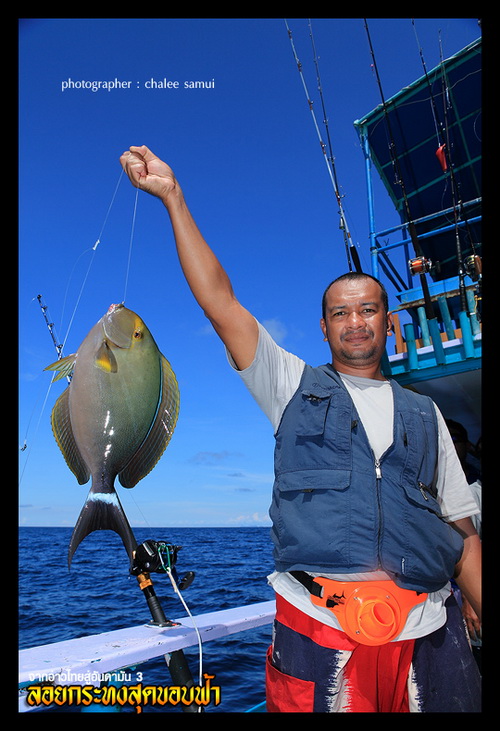  ตัวนี้"ปลาขี้ตังเป็ด" ระวังหางกันหน่อยครับคุณเอกคมกริป  
(เลยถ่ายรูปยื่นปลาซะห่างตัวเลย..ดีมาก  
