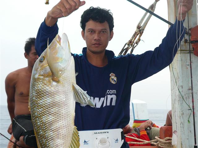 หล่อเลยตัวนี้ เรือหันมาลงหลุมพอดี หัวเรือมีเฮบ้างบ้าง

เจ้านายบอกว่าลุงนันๆ ดูดิปลาใครไม่รู้ผ่านหน