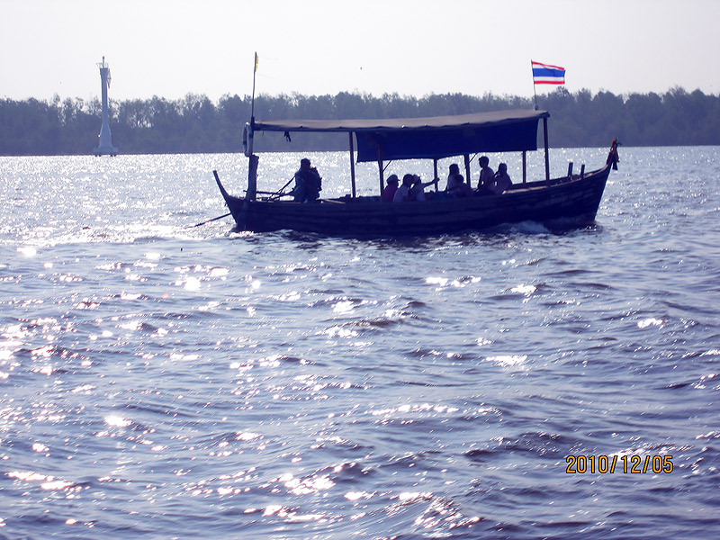 เรือรับนักท่องเที่ยวไปชมโลมาปากอ่าวครับ