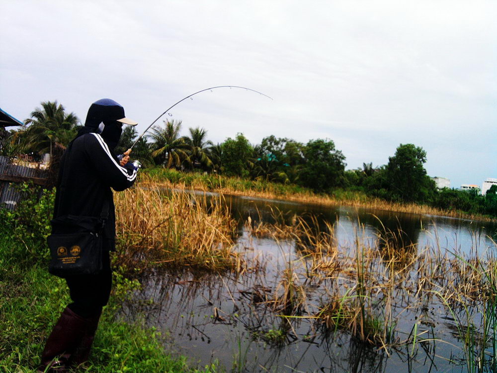 อย่างที่จั่วหัวไว้ครับ  ฝนลงทุกวัน  ได้แต่  รอออ   ร๊อออ   รอ  ว่า  เมื่อไหร่พบแดด  เมื่อนั้นออกตัวก