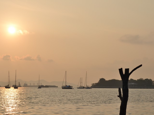 *-* Queen fish Fever @ Sichang Island *-*  จบ