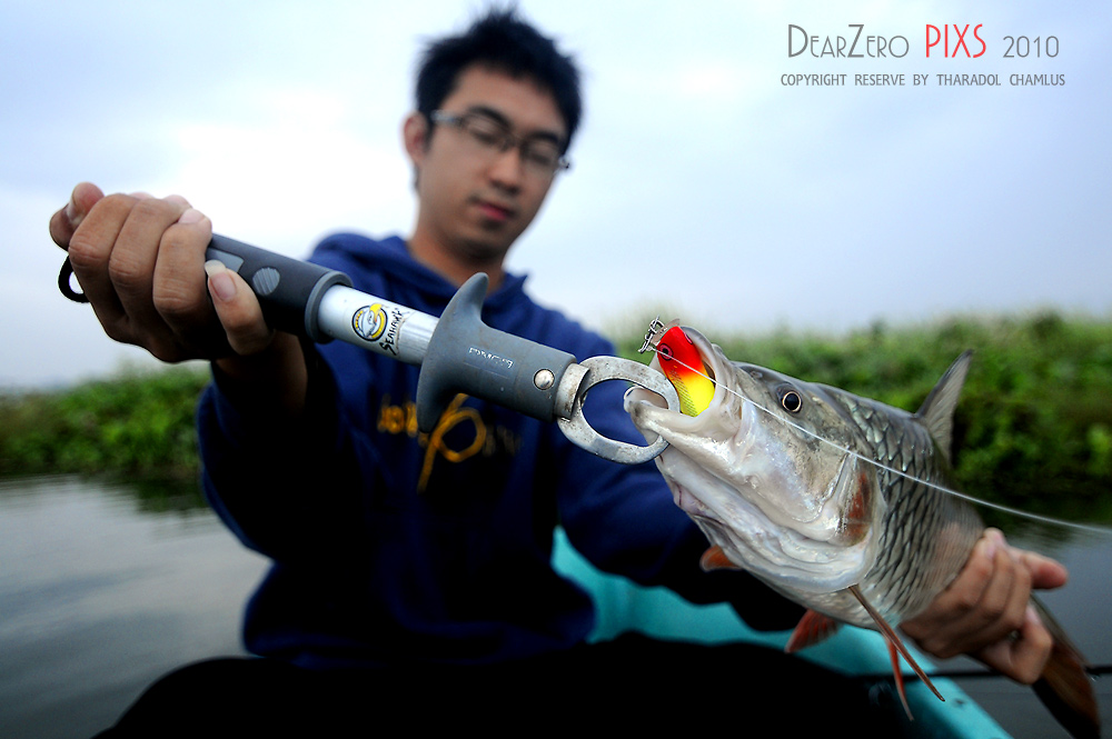 ตัวนี้กัด Rapala Popper 7Cm HLC  เต็มปากเต็มคำเลยคราบ







[q][i]อ้างถึง: แหล่งน้ำ posted: