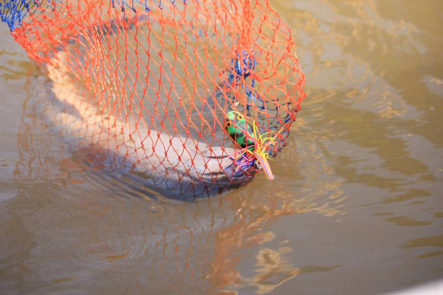 น้าๆเรือแรงๆๆ  เค้าไปกันไกลๆ ส่วนผมเรือเรือเล็กๆหาตีไกล้ๆหมายน้ำตื้นๆ ก็ได้เล็กๆแค่นี้เอง