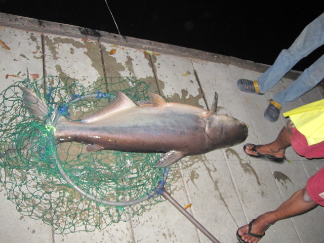 แล้วก็ล่าสุดเมื่อคืนนี้เองครับ  จากการชวนของ น้องหนึงปลาโหด แห่งเด็กวัดฯ ก็เลยจัดไป อย่าให้เหงา :lau