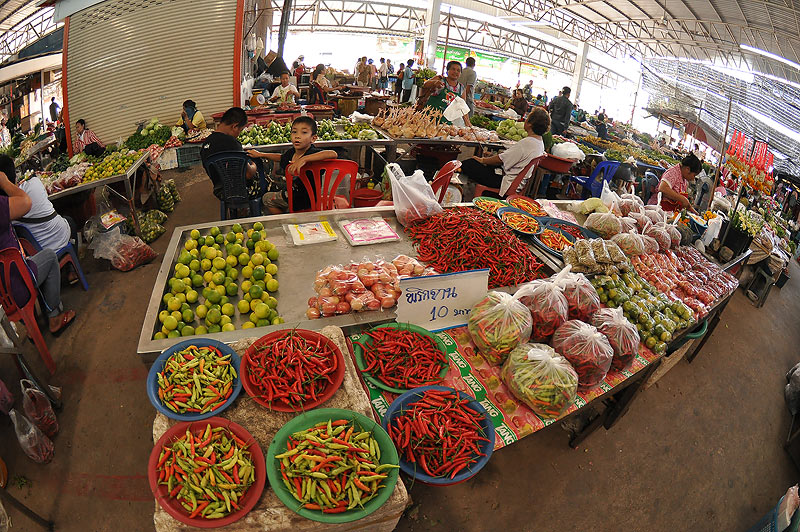 กลับบ้านแล้ว  แวะชมตลาด  พิบูลมังสาหาร
ของกินเพียบ