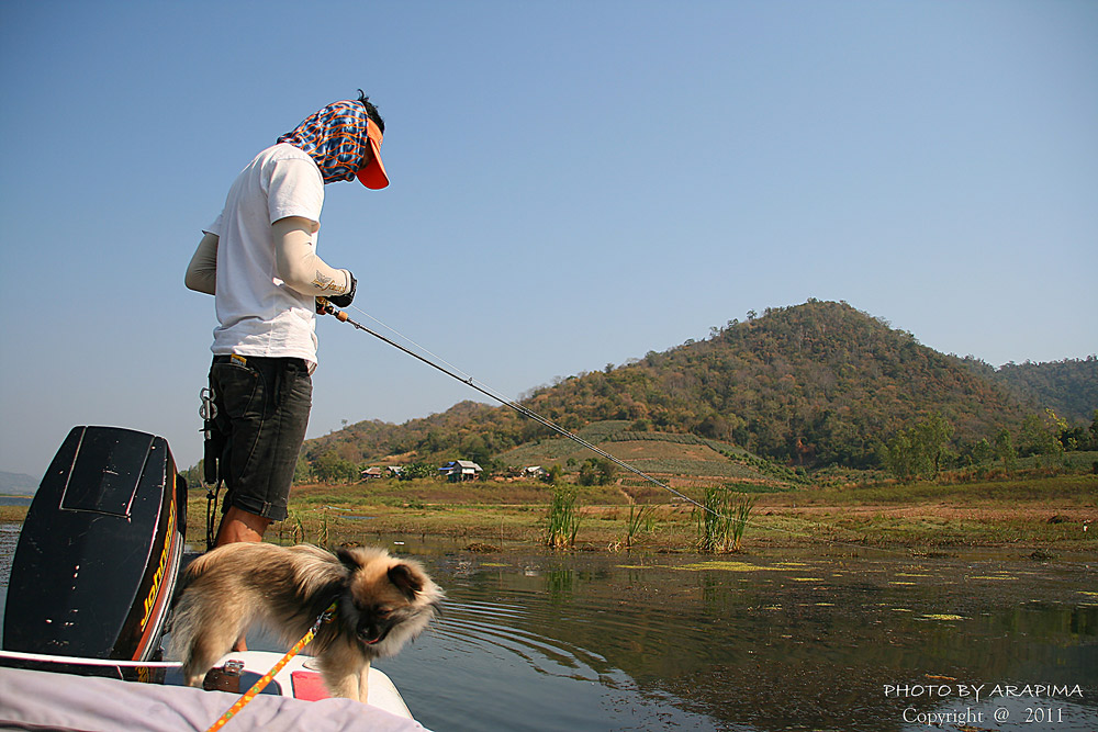 
 :grin: :grin:  ยู้ฮู......ยู้ฮู.........ท้ายเรือบายดีมั้ย   :laughing: :laughing: