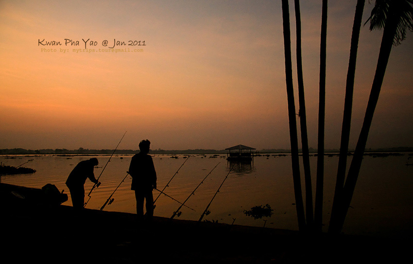 เริ่มจากภาพเจ้าถิ่นก่อนเลยนะครับ ไม่รู้ว่ามานั่งเฝ้าปลาหน้าดินตั้งแต่เมื่อไหร่แล้ว ถ้ามานั่งเฝ้าตั้ง