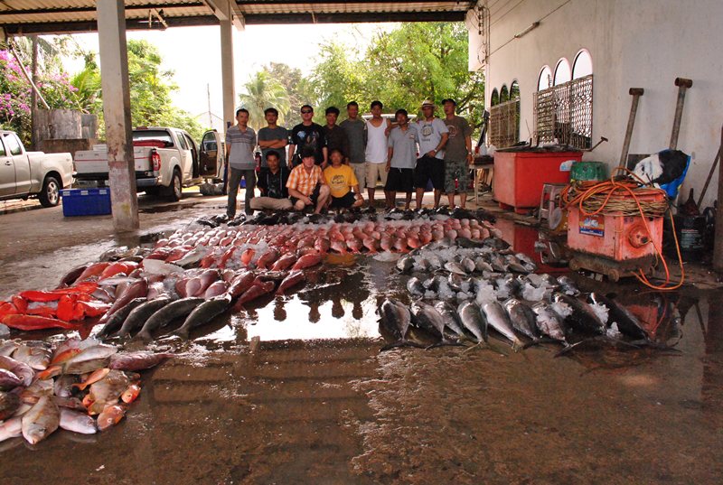 สมาชิกทั้งหมดทริปนี้ครับ
ปลาหลักที่ได้จะเป็นปลาหางบ่วงซะส่วนใหญ่ 101 ตัว
หลากหลายมากครับสำหรับปลาใ