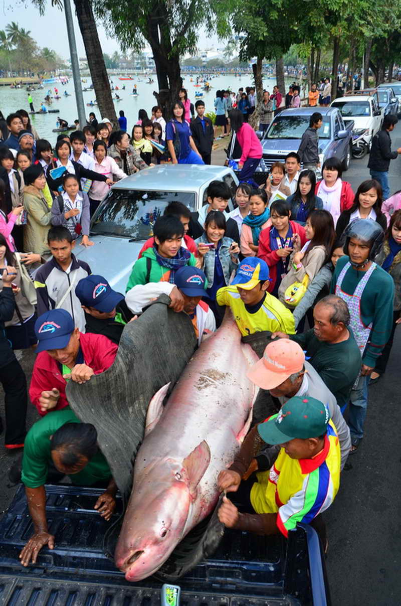 บรรยากาศ ลงแห่วันที่ 17 มค 54