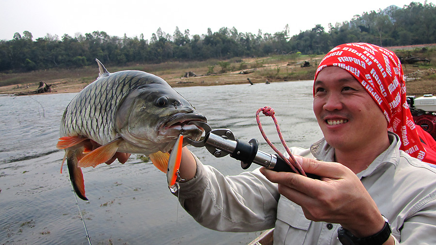        [b]ปลาทุกตัวที่ตกได้เราปล่อยกลับคืนหมดนะครับ   เนื่องจากทาง rapala เป็นนักกีฬาตกปลาจริงๆๆครับ