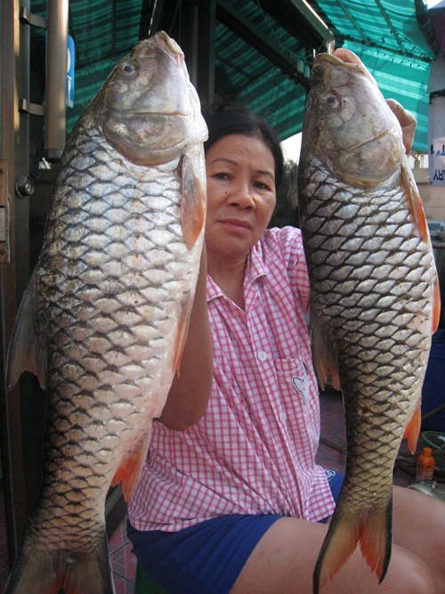 ขอรากันที่ภาพนี้เลยนะคับ
ขอขอบคุณ 
คุณแจ๊ค 
น้องเอ้
ด้วยนะคับ