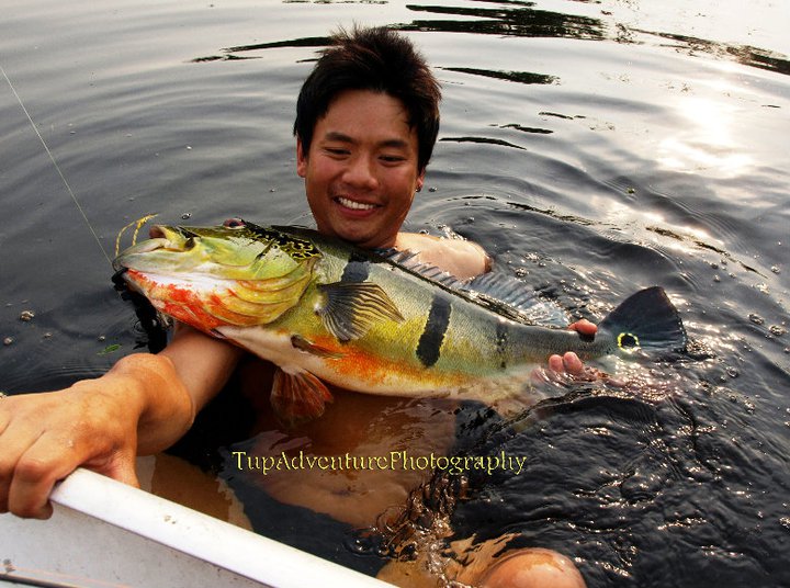 Amazonia Peacock Bass