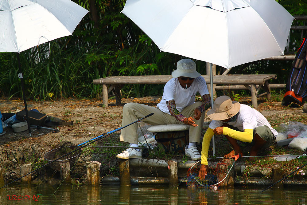 ภาพแบบนี้มีให้เห็นบ่อยในงานนี้ครับ  :smile: