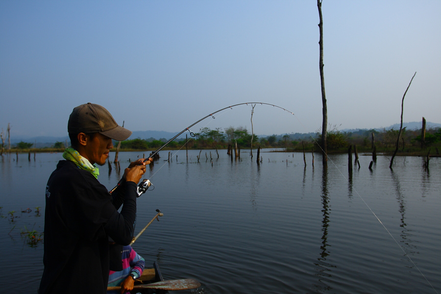 ิbicbass ได้ปลาอีกแล้ว