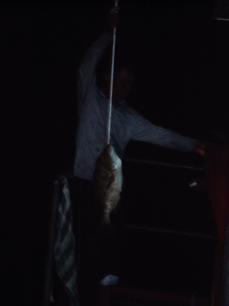 หลังจากนี้ ปลาตาจง กินเบ็ดโสกดีมากจนไม่มีเวลาถ่ายรูปเลยครับ
ทริบนี้ไม่ได้ถ่ายรูปปลารวมเพราะกลับถึงฝ