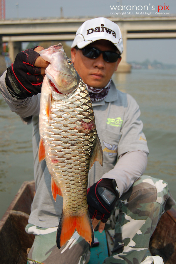 รูปสุดท้าย ขอจบกันแบบดื้อๆอย่างนี้เลยแล้วกันครับ

ขอบคุณทุกท่านที่ติดตามชมกันด้วยครับ  

 :cheer