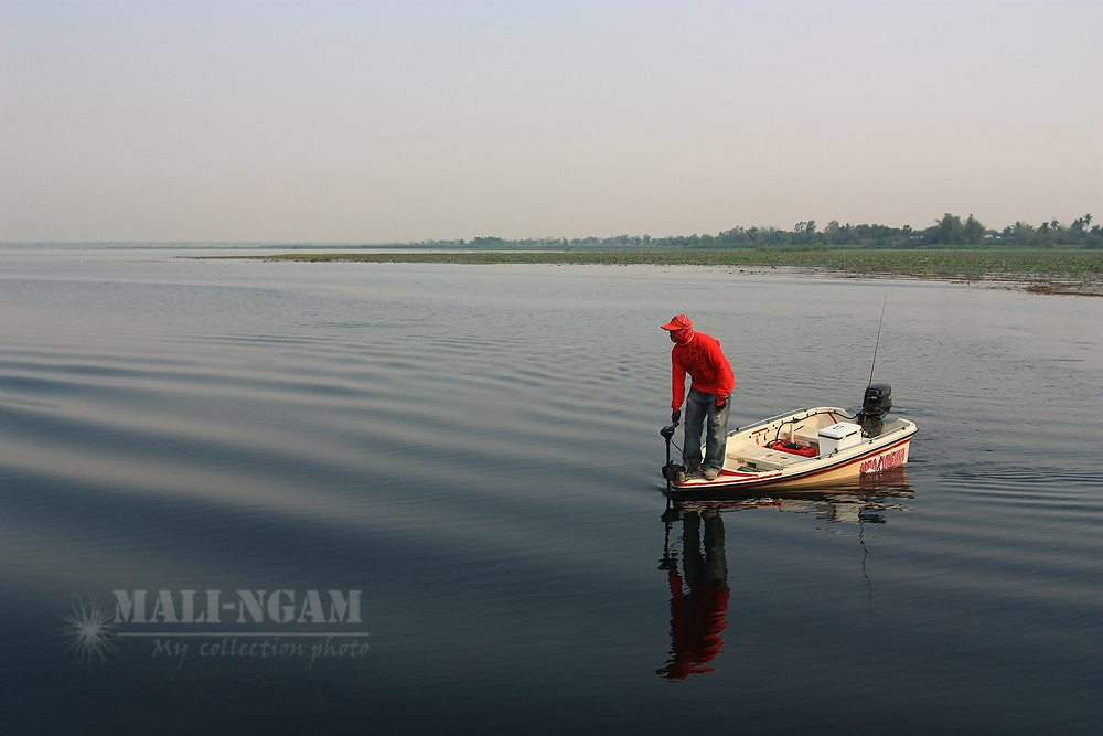 โทรหาน้าเต่า สักพัก ก็เอาเรือมารับ...