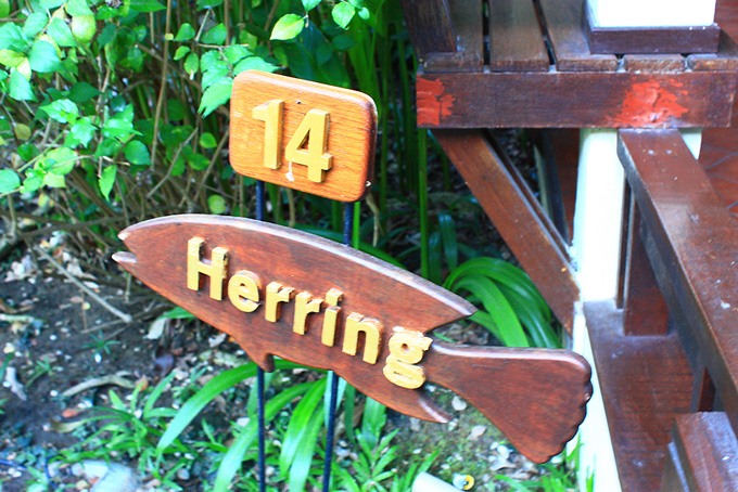 บ้านหมายเลข 14 ปลา  Herring   :grin: :grin: :grin:

ปลา Herring นี่มันกัดเหยื่อปลอมปล่าวหว่า   :la