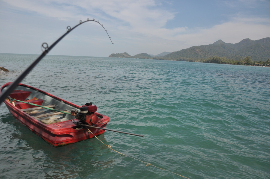 ดูจากในรูปจะเห็นว่ามีเรือจอดอยู่ครับผมตีเหยื่อขนาดกับเรือครับ ก็เลยได้เรืองเลย :cheer: