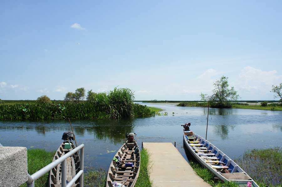 ระหว่างพักช่างภาพของเราก็เก็บภาพไปเรื่อยครับ.......มีเรือพานักท่องเที่ยวชมทะเลน้อยมาแวะพักหลบแดดอยู่