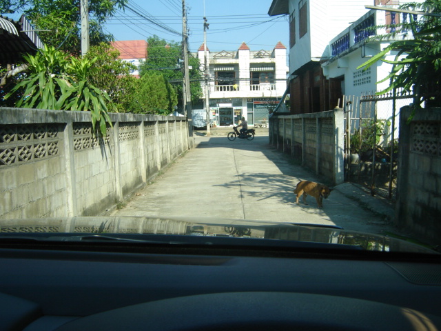 อากาศหนาวๆ ควันออกปากเวลาสนทนาที่อุณหภูมิ 14-15 องศา