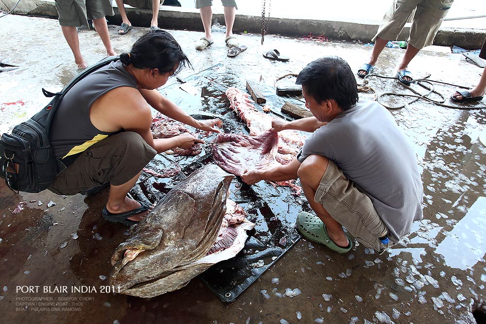 "กระเพาะ"

ส่วนที่น้อยที่สุด แล้วอร่อยมากๆ ด้วย  :umh: :umh: :umh: