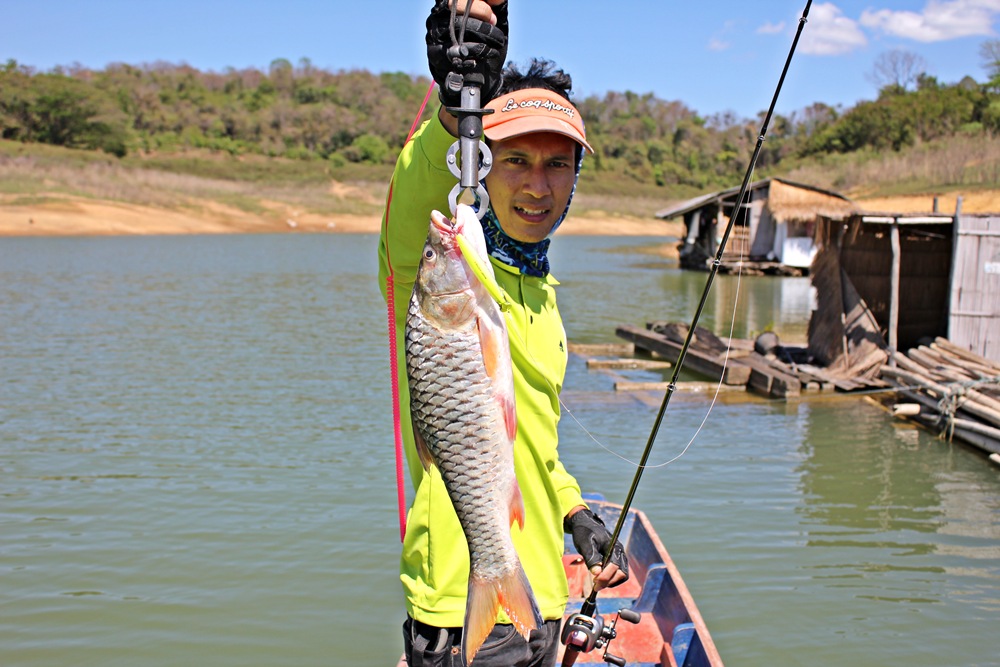 ทีเด็ดจริงครับไม้เดียวโดนเลย...ปลาแอบไซค์สวย...ไม่ต้องงงนะครับทำมัยถึงเรียกปลาแอบ...เดี๋ยวรอน้าอ่ำมา