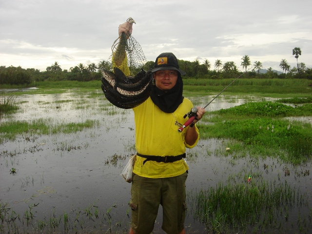 นี้คือปลาที่ได้หลังจากฝนหยุดตกแล้ว

 :cheer: :cheer: :cheer: