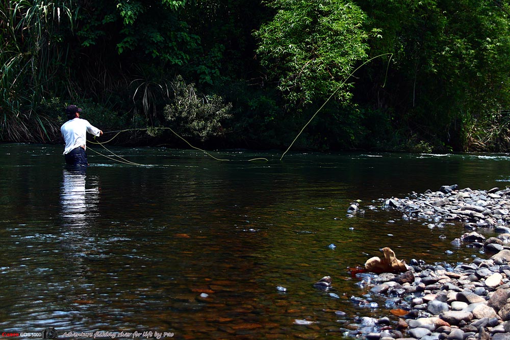 Adventure, Fishing, River for life 