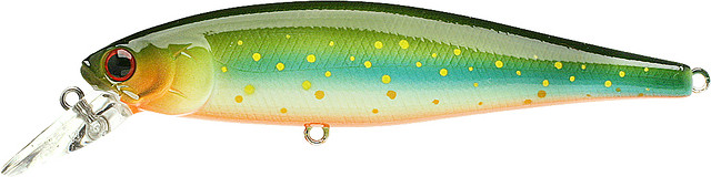 Brook Trout

Pt100-814brkt
