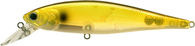 Golden Shiner

Pt100-239gosn
