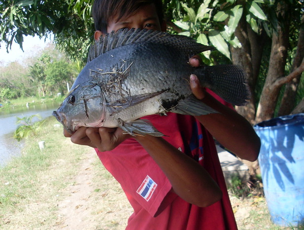 [q][i]อ้างถึง: fishingjoke posted: 23-04-2554, 08:39:51[/i]

++++ครับ :cheer: :cheer: :cheer: :che