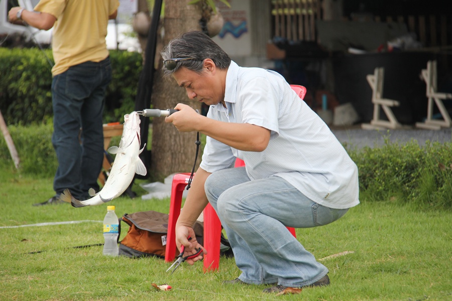 อ้าวท่านประธาน  ไม่ให้ไอ้นาโตมิมาช่วยละคร้าบบบ :grin: