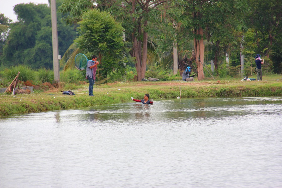 สงสัยจาร้อน.... :grin:




ขอบคุณครับน้า fishingjoke  น้าน้องเบญ   :cheer: :cheer: :cheer: :gri