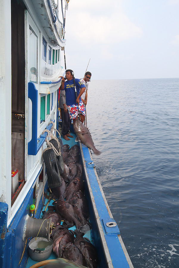 ทางท้ายเรือก็ขึ้นมาเรื่อยๆ