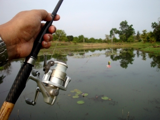 
อาวุธที่ใช้วันนี้ครับ คัน tica 7 ฟุต รอก shimano SPIREX 2000 + กบกระโดด   :cheer: