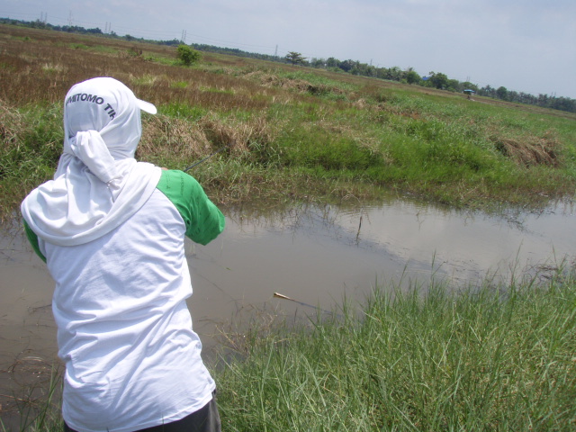 วันนี้ ได้รับเชิญ น้อง nek siamfishing  มาร่วมแจม ด้วย หาปลาช้อนเข้า โครงการ ห่อหมกเพื่อสุขภาพ :chee