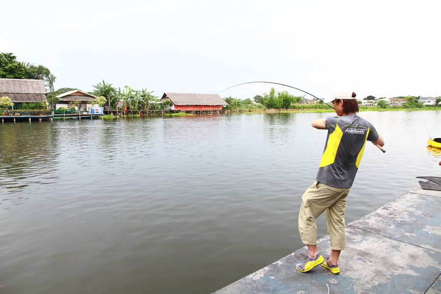 คัน Plam Molla รุ่นใหม่ล่าสุด ส่งตรงมาจากญี่ปุ่นให้ดูเป็นตัวอย่างงานนี้โดยเฉพาะ

พร้อม โปรของ Plam